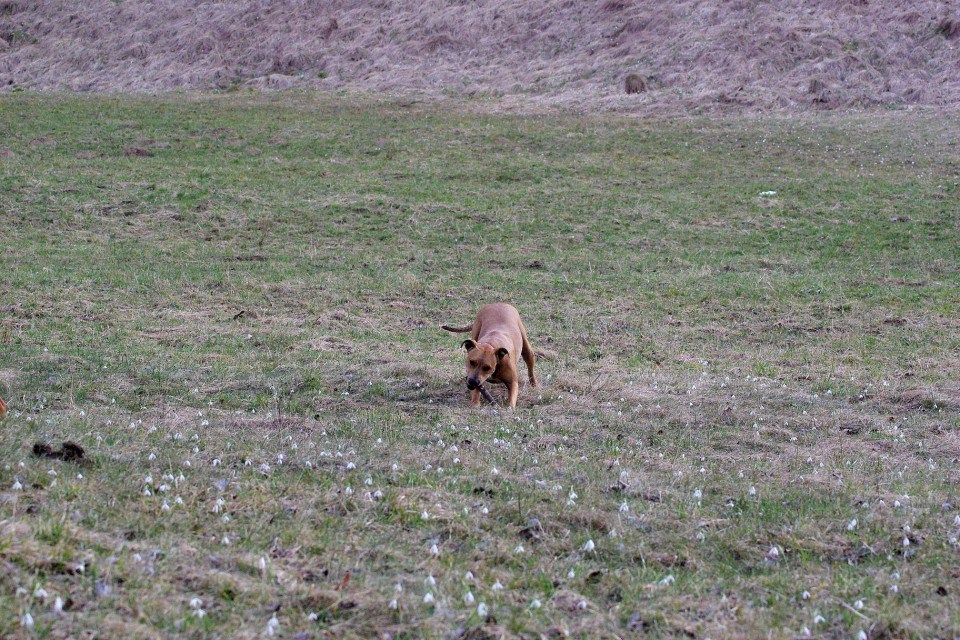 Crt&Šana2009 - foto povečava