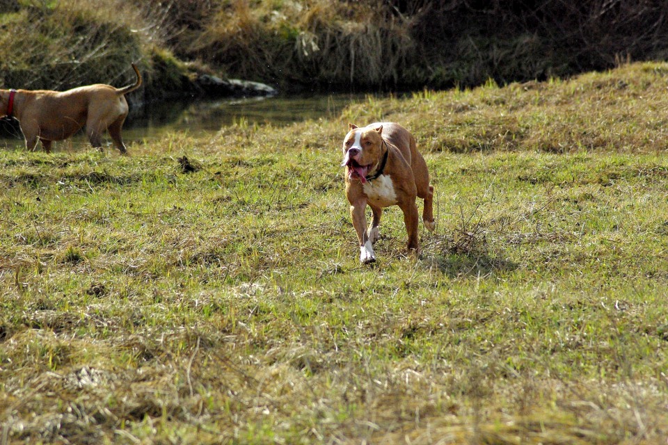 Crt&Šana2009 - foto povečava