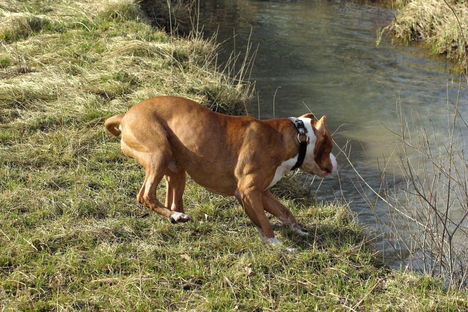 Crt&Šana2009 - foto povečava