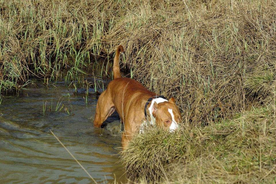 Crt&Šana2009 - foto povečava