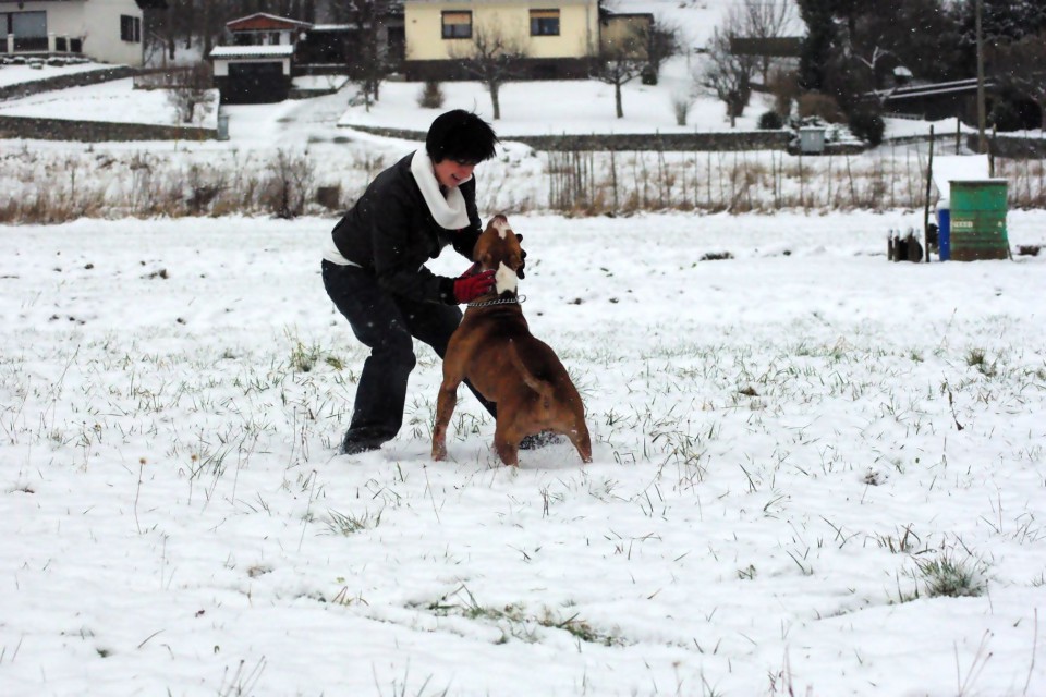 ZIMA 2008 - foto povečava