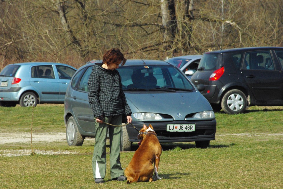 Crt v šoli - foto povečava