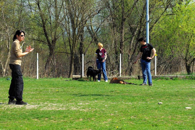 Crt v šoli - foto