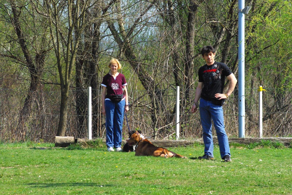 Crt v šoli - foto povečava