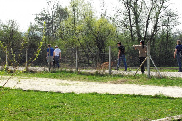 Crt v šoli - foto