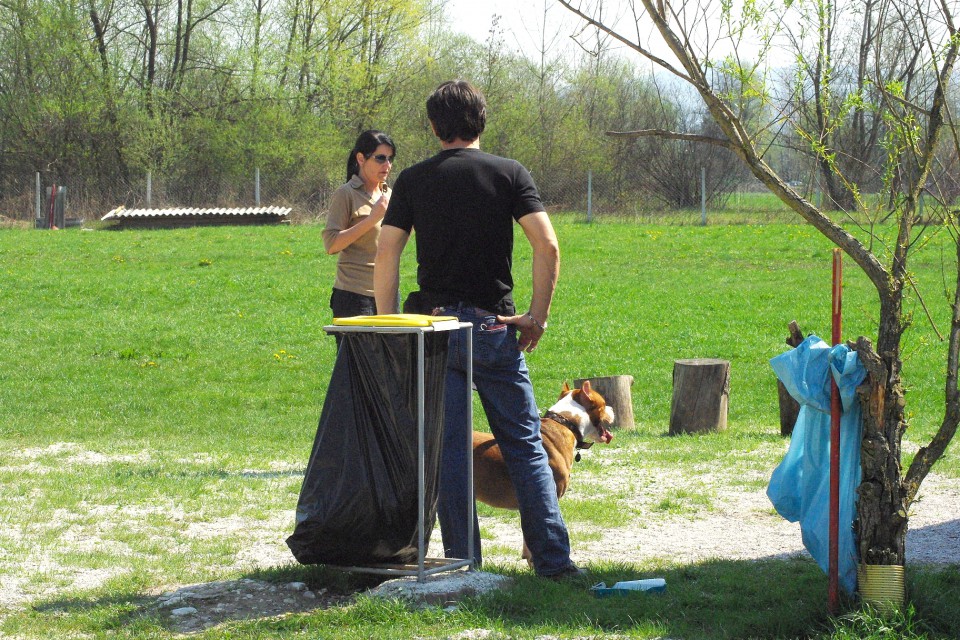 Crt v šoli - foto povečava