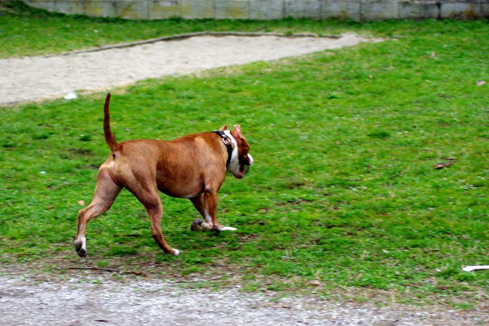 Crt in Ula - foto povečava