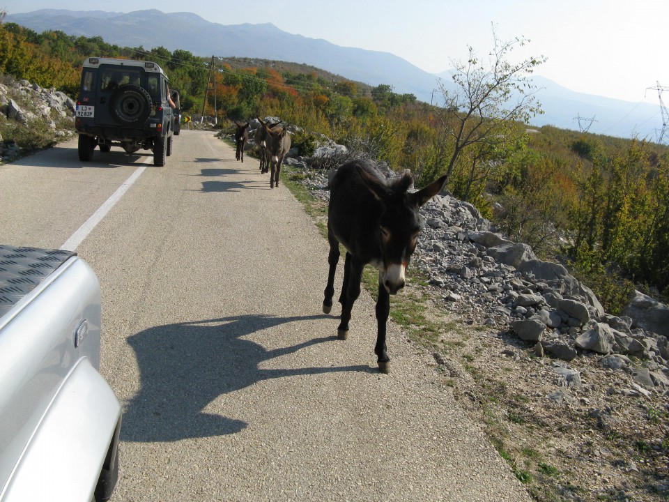 Velebit - foto povečava