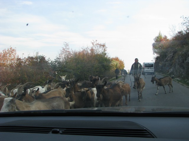 24.-28.10.2008 Budva in črna Gora - foto