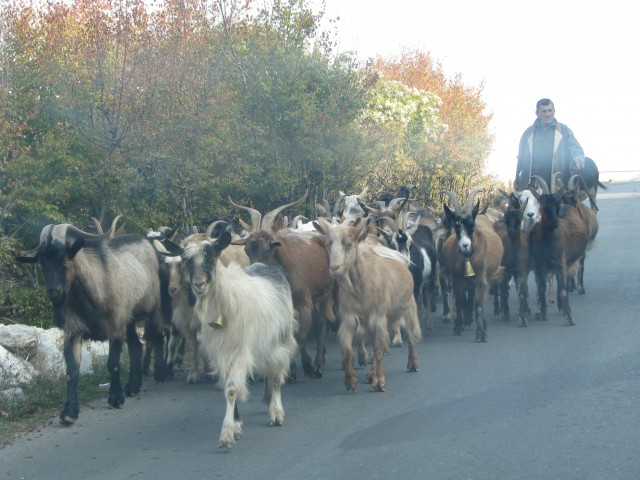 24.-28.10.2008 Budva in črna Gora - foto