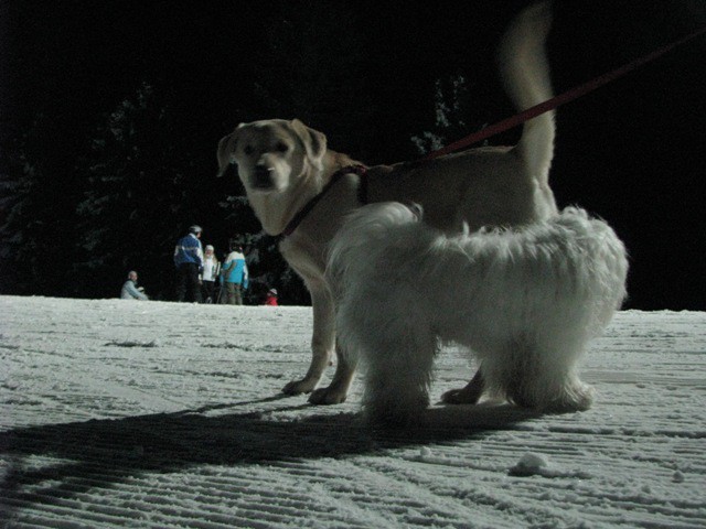 1.1.2009 Kope Partizanka - foto povečava