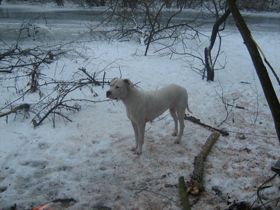 Ares - foto povečava