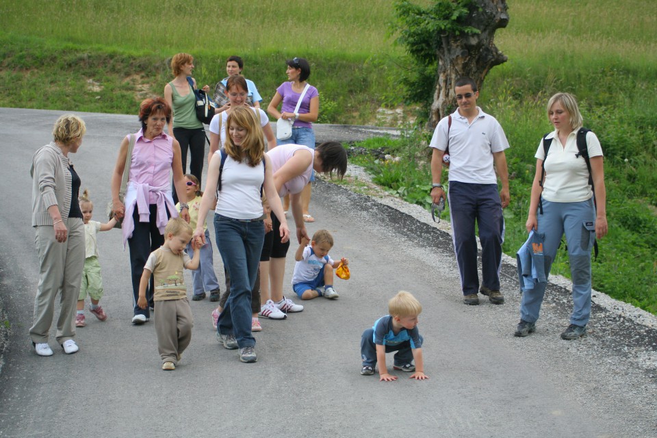 Zajčki - foto povečava