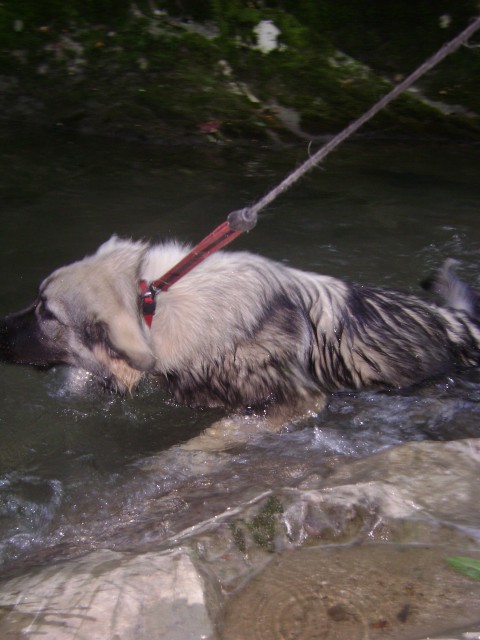 Lava-Soča - foto