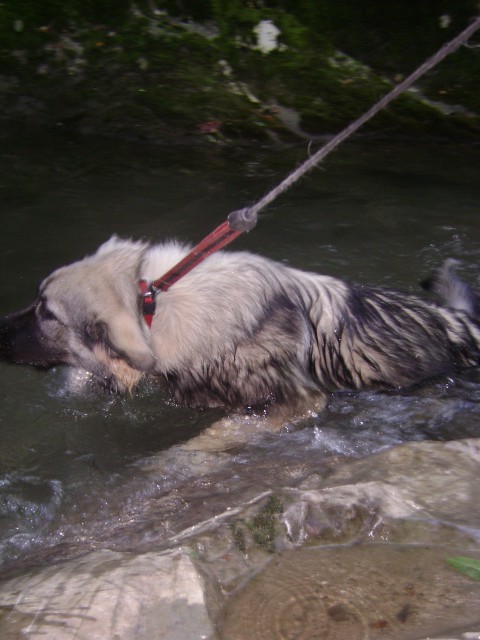 Lava-Soča - foto