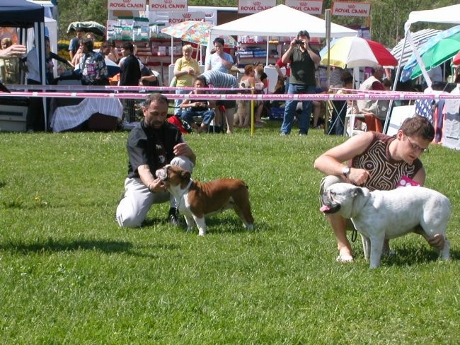 CAC Hrušica - foto povečava