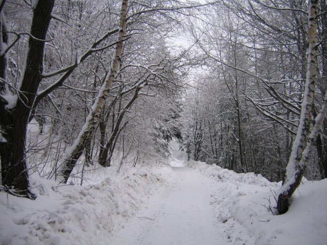Mrzlica - foto povečava