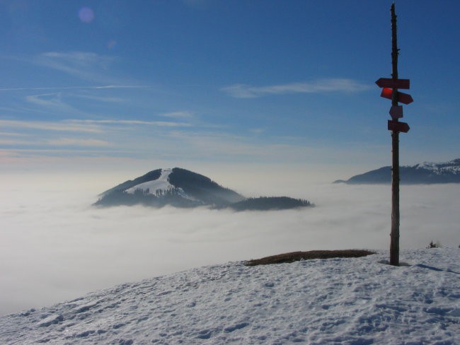 Lepenatka skozi Krnico - foto povečava