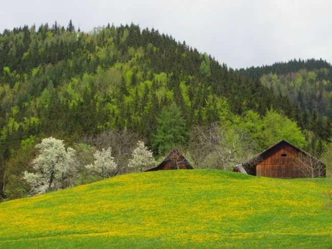 Sv. Primož nad Ljubnim - foto povečava