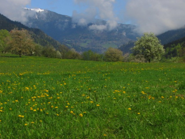 Sv. Primož nad Ljubnim - foto