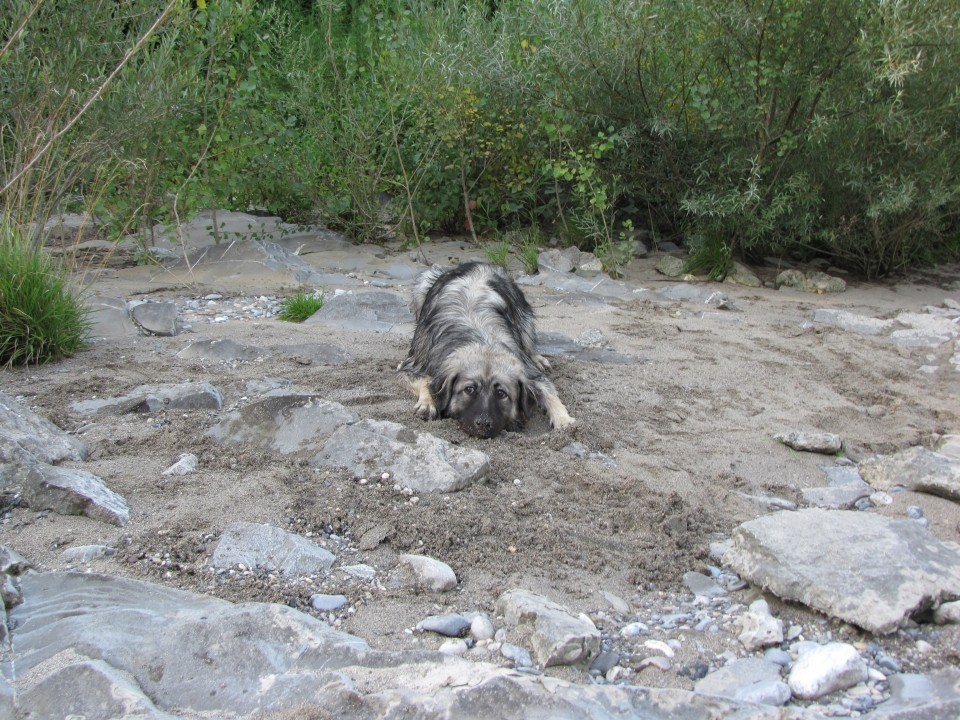 02.08.2009 na Soči (N. Gorica) - tokrat neškodljivo - kopanje v mivki