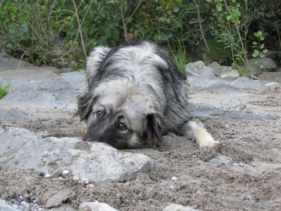 02.08.2009 na Soči (N. Gorica) - tokrat neškodljivo - kopanje v mivki