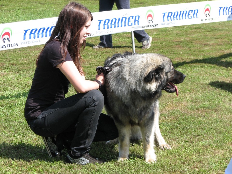 2009 - Specialna razstava KO 17.05.2009 - foto povečava