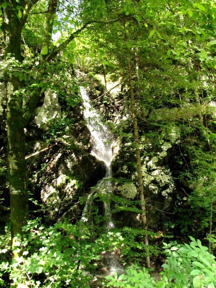 V Bohinju 06.09.2009 - eden od slapov; če ne bi gorenjci šparali na tablah, bi mogoče še c