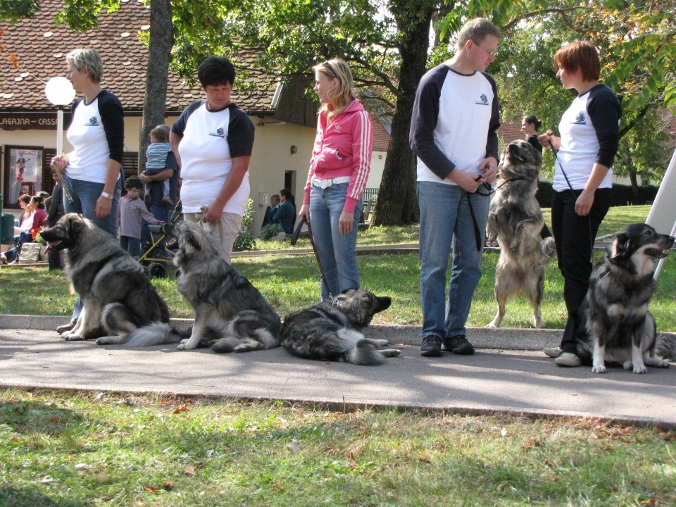 Faust, Gaša & Gala, vesela Tika & Taja