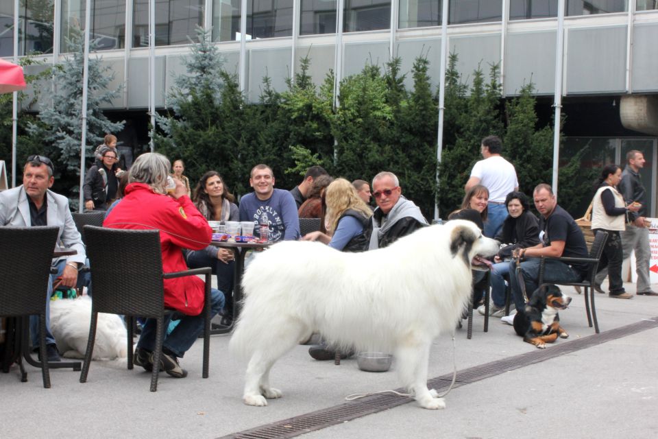 Eurodogshow Celje 30.09.2010 - foto povečava