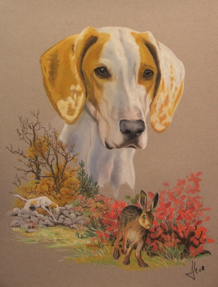 Istrski kdl. gonič (Istrian short-haired Hound)- oil pastel- 50x70cm