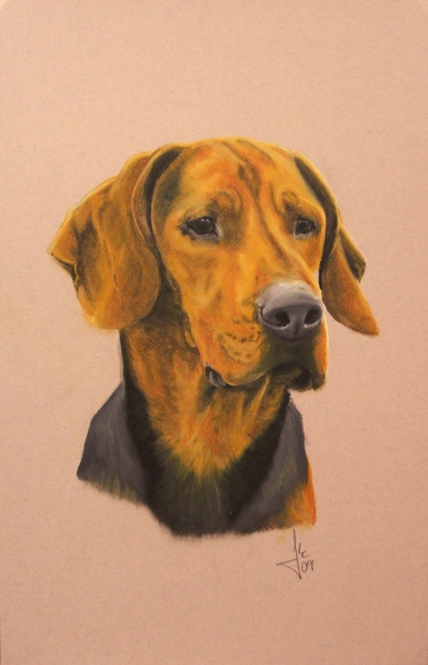 Srbski gonič (Serbian Hound)- oil pastel 35x45cm