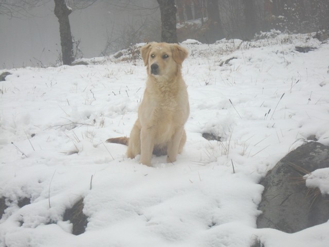 Agi in prvo srecanje s snegom,december 2007 - foto