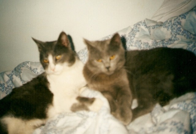 Biba in Gašper (leta 2003)