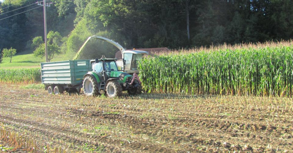 Silo2011 - foto povečava