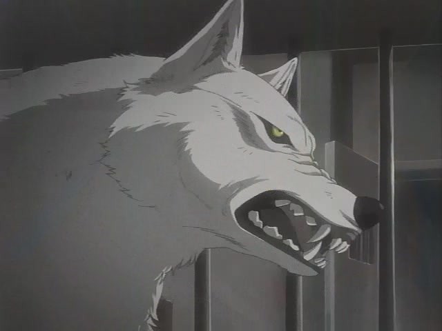 Wolf s rain - foto