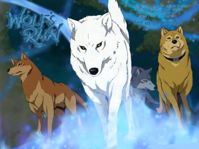 Wolf s rain - foto