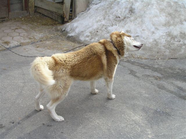 Zami in družba - foto