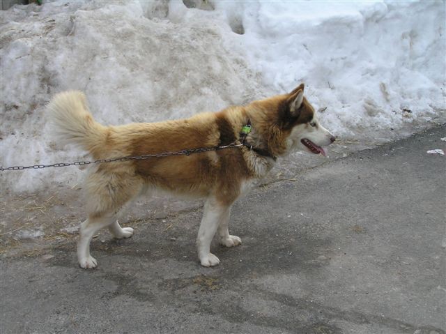 Zami in družba - foto povečava