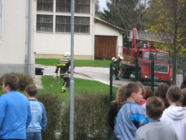 VAJE OKTOBER 2008 - foto povečava