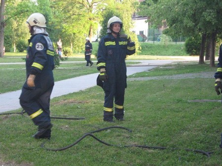 VAJA KRAPINA 2009 - foto povečava