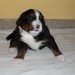 Athos