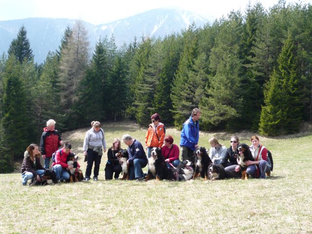 Družinski berni piknik 2010 - foto