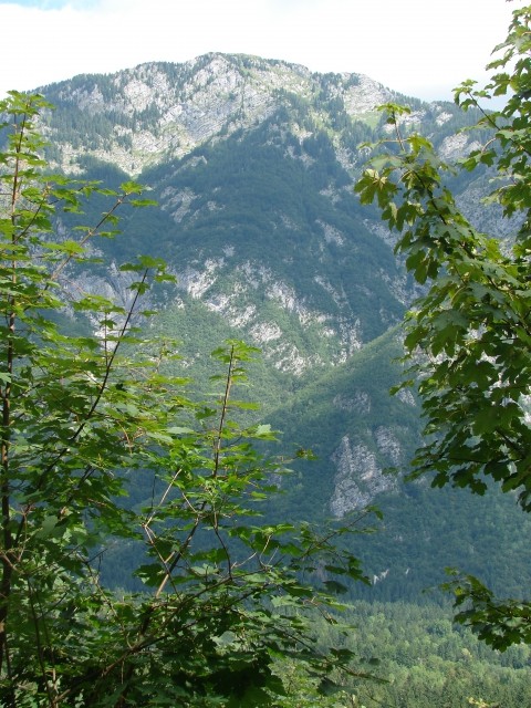 BOHINJ&BLED - foto