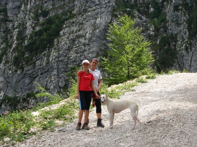 BOHINJ&BLED - foto