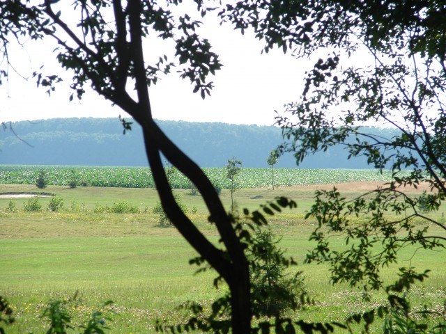 MORAVSKE TOPLICE - foto