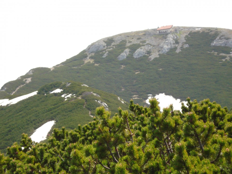 Snežnik 17.05.2009 - foto povečava