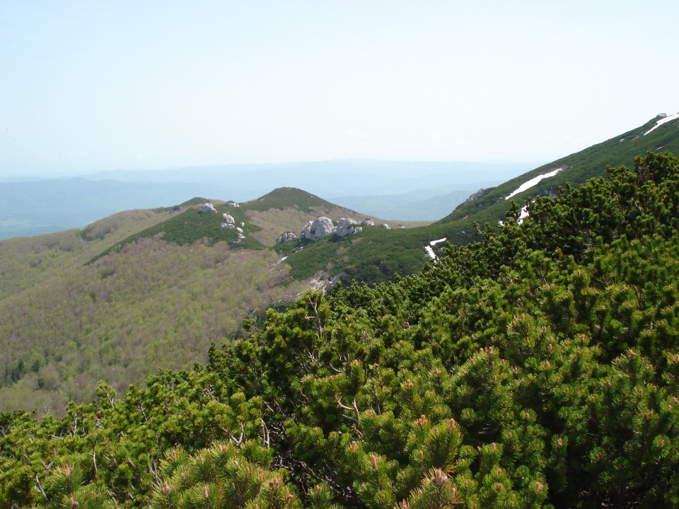 Snežnik 17.05.2009 - foto povečava