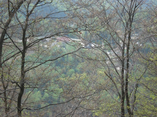 Paški Kozjak 1.5.2009 (Jože) - foto