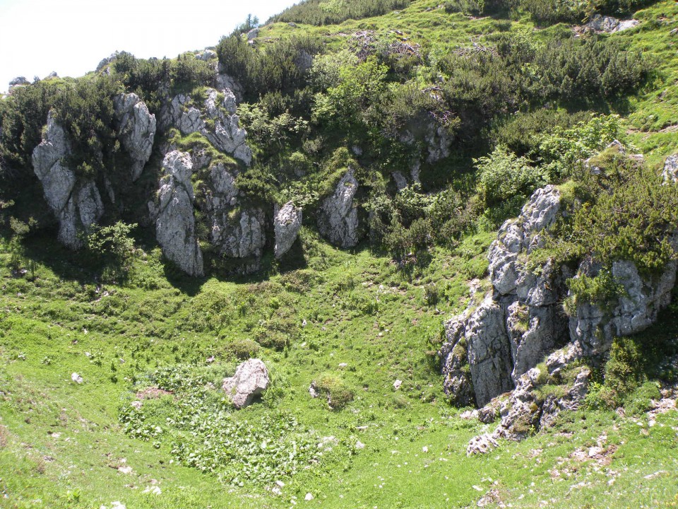 Velika planina 14.06.2009 - foto povečava